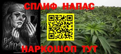 шишки Туймазы