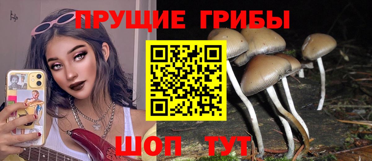 Галлюциногенные грибы GOLDEN TEACHER Курганинск