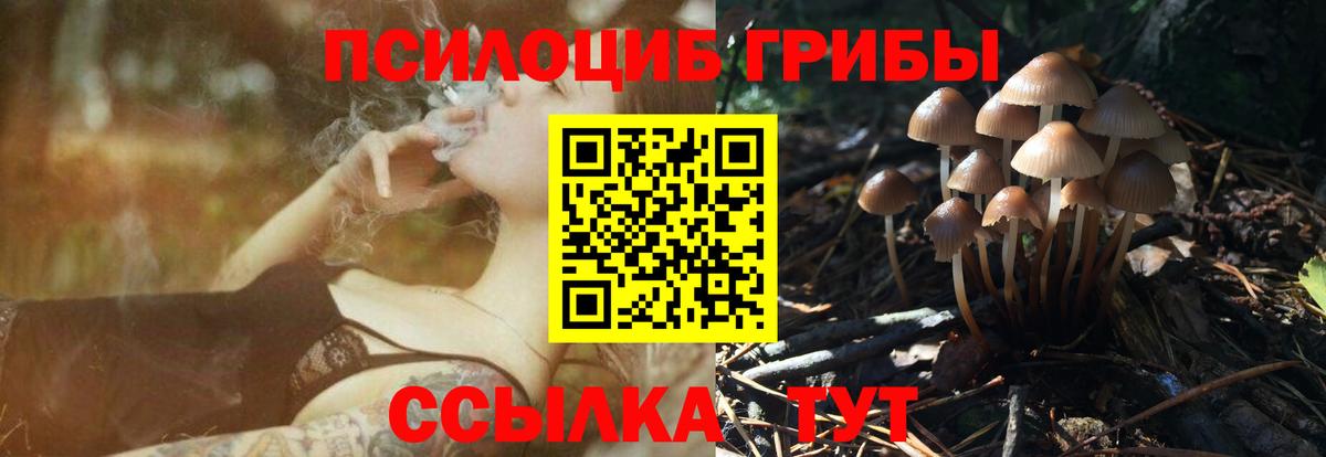 Галлюциногенные грибы прущие грибы  цена   Вход с VPN  Курганинск  Галлюциногенные грибы Magic Shrooms 